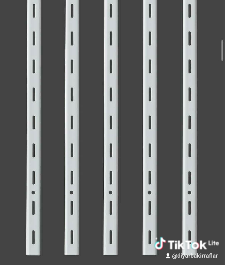 Ekoset Ray Raf Dikmesi